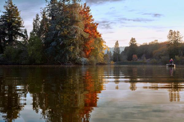 /Images/uploads/Sonoma County Regional Parks Foundation/springlake50/entries/28924thumb.jpg